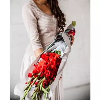 5 Красных Гладиолусов