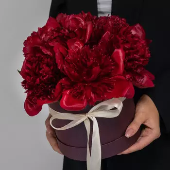 5 Красных Пионов в коробке