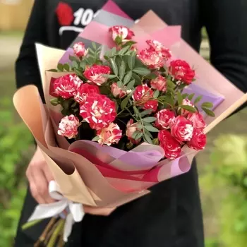 5 Кустовых Полосатых Бело-Красных Роз (50 см.)