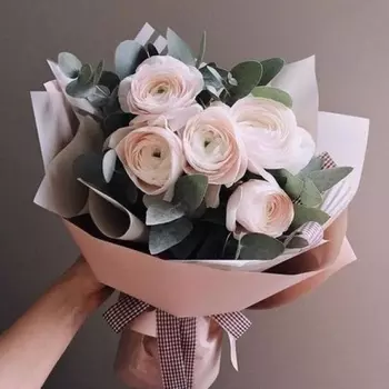 5 Нежно-Розовых Ранункулюсов