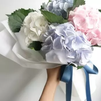 5 Нежных Гортензий