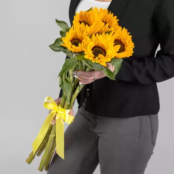 5 Подсолнухов