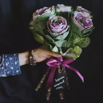 5 Розовых Брассик