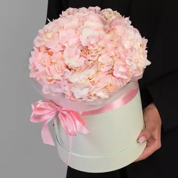 5 Розовых Гортензий в коробке