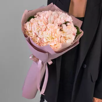 5 Розовых Гортензий в упаковке