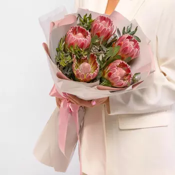 5 Розовых Протей