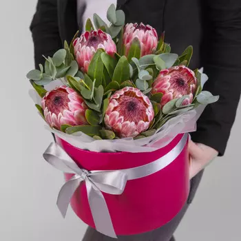 5 Розовых Протей в коробке