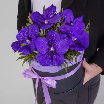 5 Синих Ванд в коробке