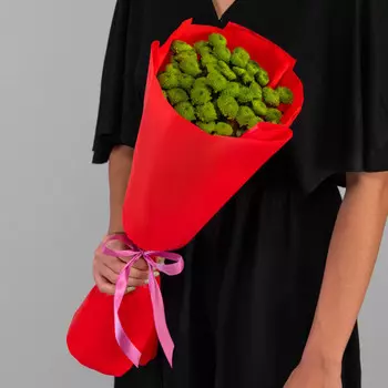 5 Зеленых Сантини