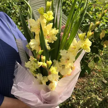 5 Желтых Гладиолусов