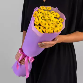 5 Желтых Сантини Ромашка