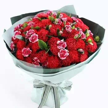 65 Красных Гвоздик