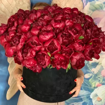 65 Красных Пионов в коробке