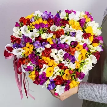 65 Разноцветных Фрезий