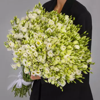 75 Белых Эустом