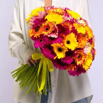 75 Гербер Микс