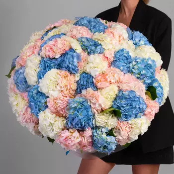 75 Гортензий Микс