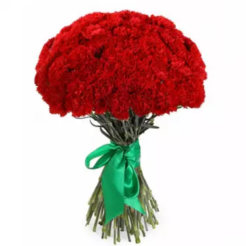 75 Красных Гвоздик