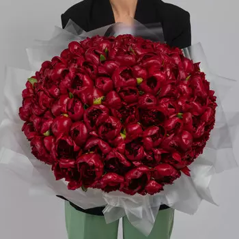 75 Красных Пионов