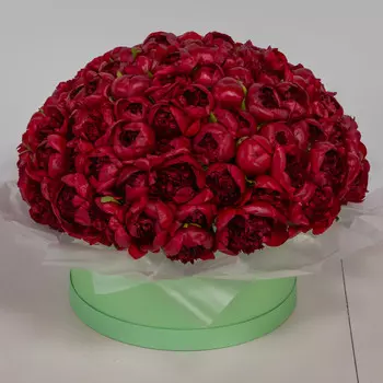 75 Красных Пионов в коробке