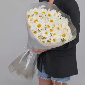 75 Крупных Ромашек