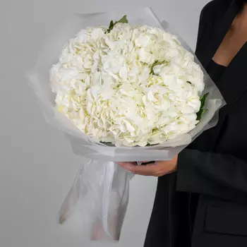 7 Белых Гортензий