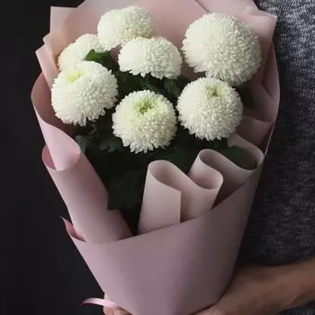 7 Белых Хризантем Помпон