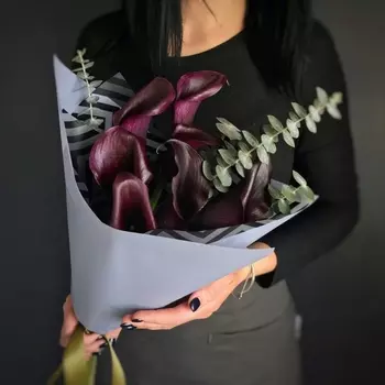 7 Черных Калл с эвкалиптом