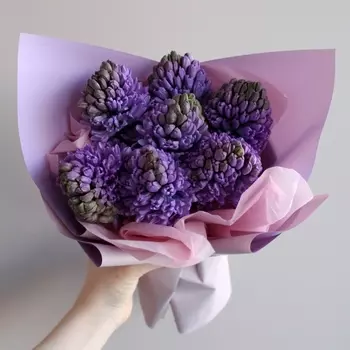 7 Фиолетовых Гиацинтов