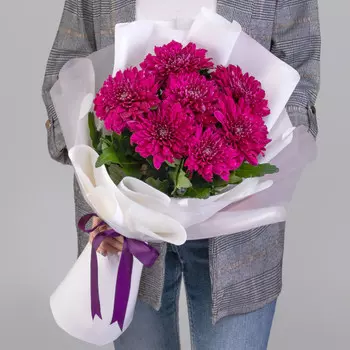 7 Фиолетовых Хризантем