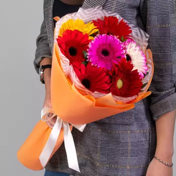 7 Гербер Микс с зеленью