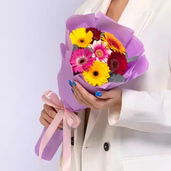 7 Гермини Микс