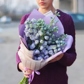 7 Голубых Дельфиниумов