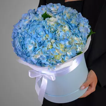 7 Голубых Гортензий в коробке