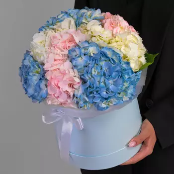 7 Гортензий Микс в коробке