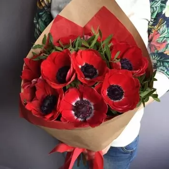 7 Красных Анемонов