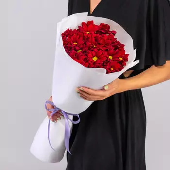 7 Красных Кустовых Хризантем Ромашка