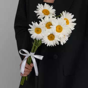 7 Крупных Ромашек