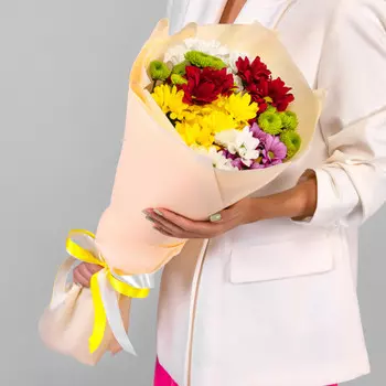 7 Кустовых Хризантем Ромашка Микс