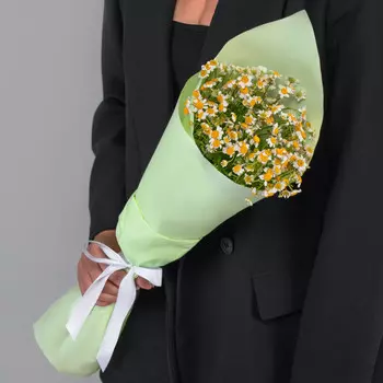 7 Кустовых Ромашек