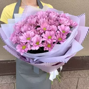 7 Розовых Кустовых Хризантем