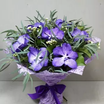 7 Орхидей Ванда