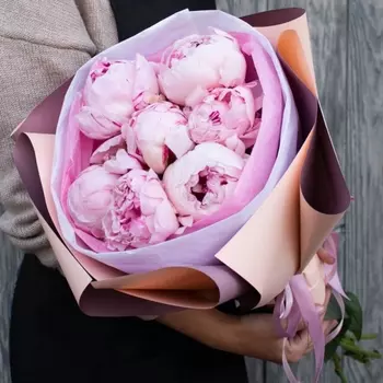 7 Пионов Сара Бернар