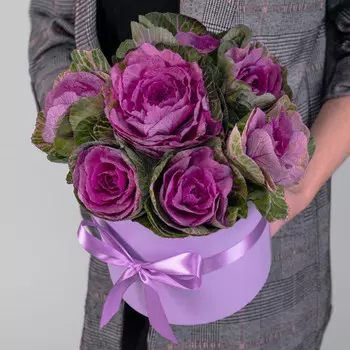 7 Розовых Брассик в коробке