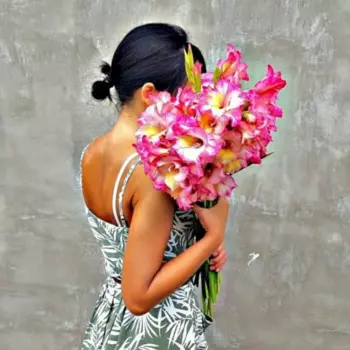 7 Розовых Гладиолусов