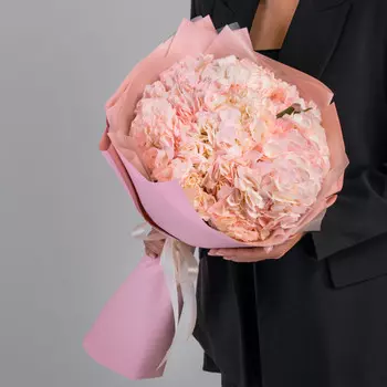 7 Розовых Гортензий