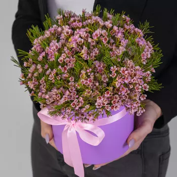 7 Розовых Хамелациумов в коробке