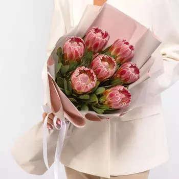 7 Розовых Протей