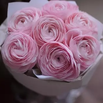 7 Розовых Ранункулюсов