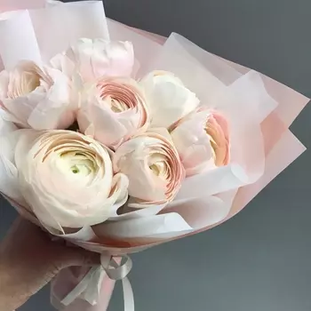 7 Светлых Ранункулюсов